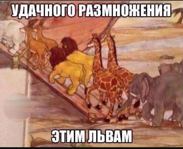 Так себе картинки 04.07.25