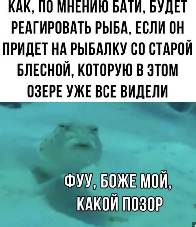 Ручей тупости