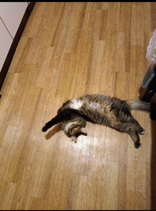 Тоже стал рабом
