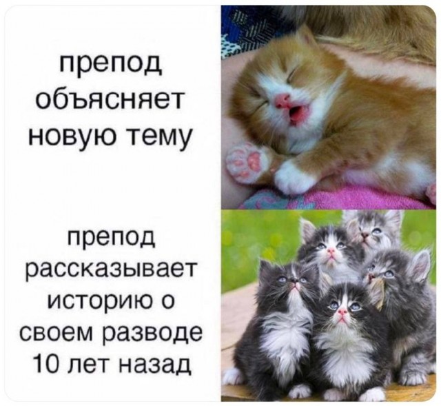 Очередного понедельника картинки
