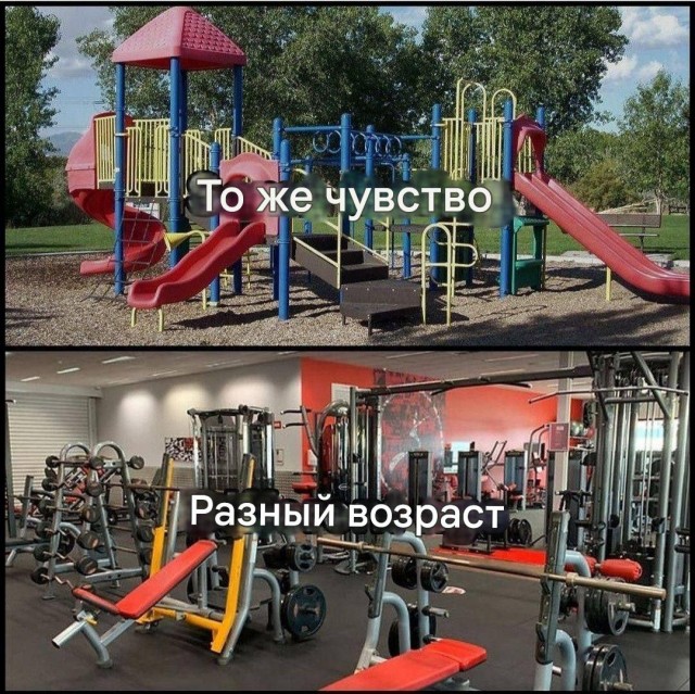 Прикольные и просто красивые картинки 14.11.2025