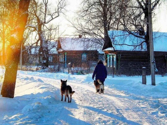 Сегодня за моим окном зима