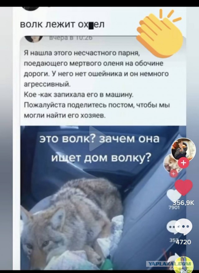 В Майами робот-курьер покончил с собой, бросившись под поезд