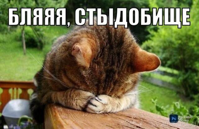 Ничего необычного, это сын Илона Маска, листаем ленту дальше