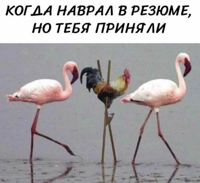 Среды картинки