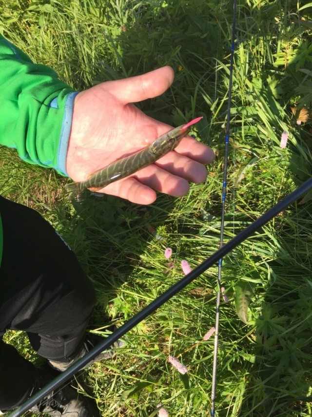 Лайфхак для рыбака⁠