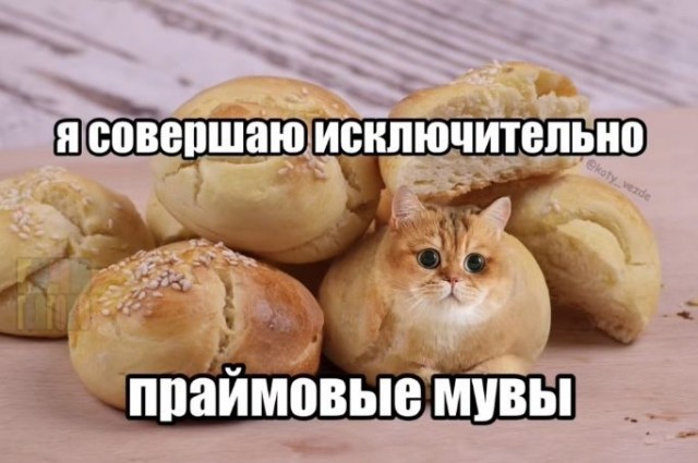 мемчики