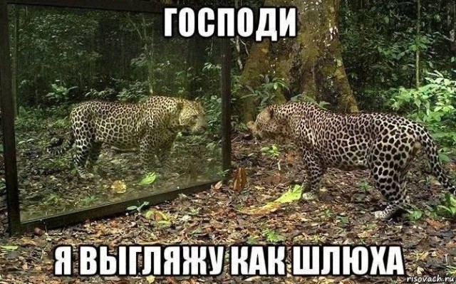 Веселое настроение в картинках 29.07.26