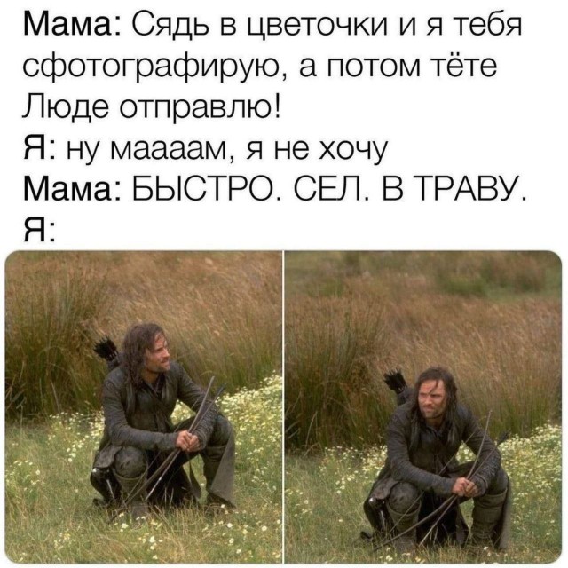 Картинки для деградации 288 (разной степени свежести)