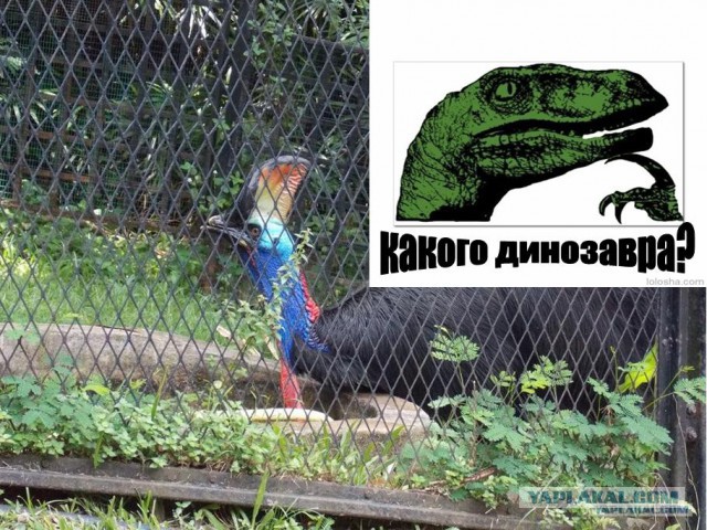 Фотоотчет. Путешествие в Малайзию