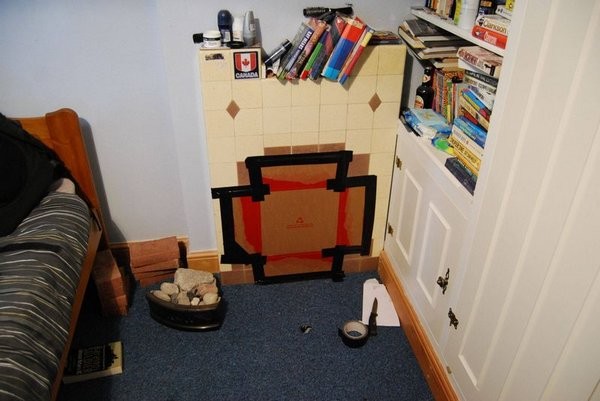 "Пасека" в квартире