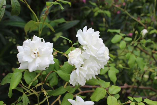 Отчёт о поездке в Крым 12.07 - 29.07