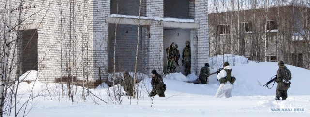СтрайкБолл (StrikeBall, AirSoft)