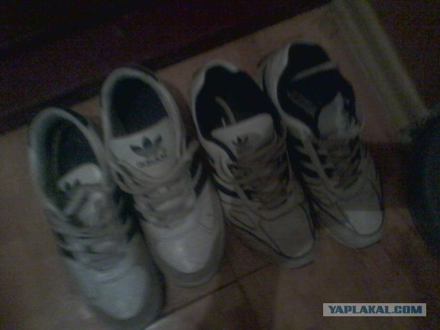 Саморазлагающиеся кроссовки Adidas