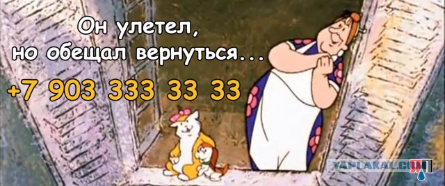 Запилил табличку с телефоном в машину