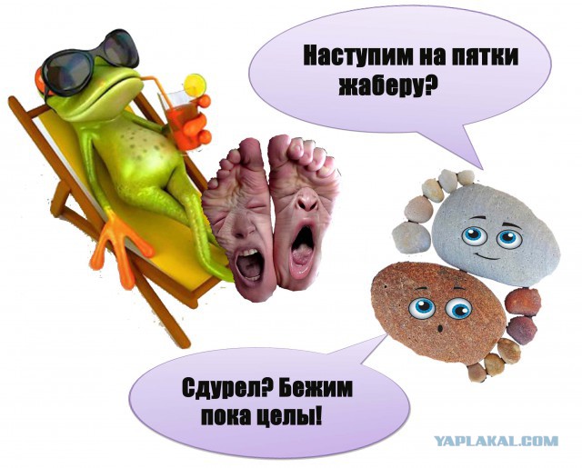 Полуфинал конкурса "Кулинар-2015" (Новички)