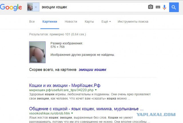 Давайте знакомиться