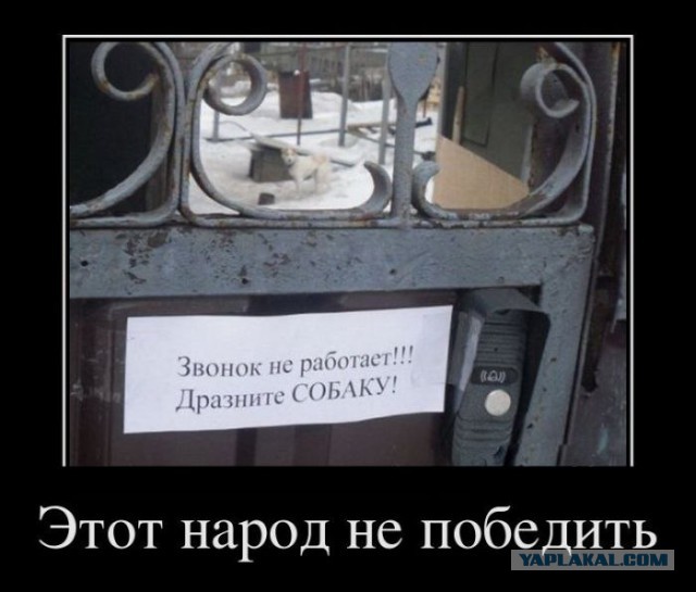 Веселые картинки
