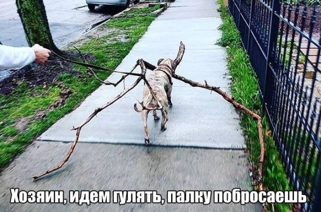 Картинки с надписями