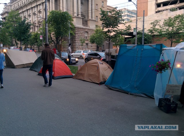 Митинг против правительства в Белграде