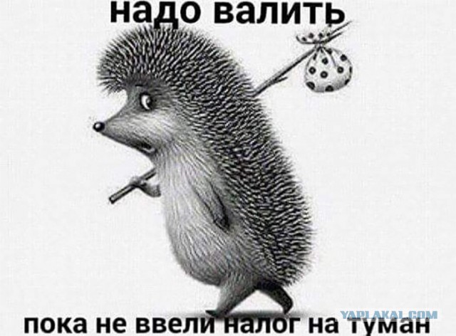 Силуанов предложил повысить НДС до 22%
