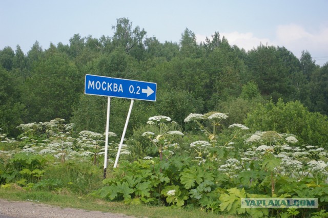 В Москве на Бессмертный Полк пришло чуть больше 100 человек