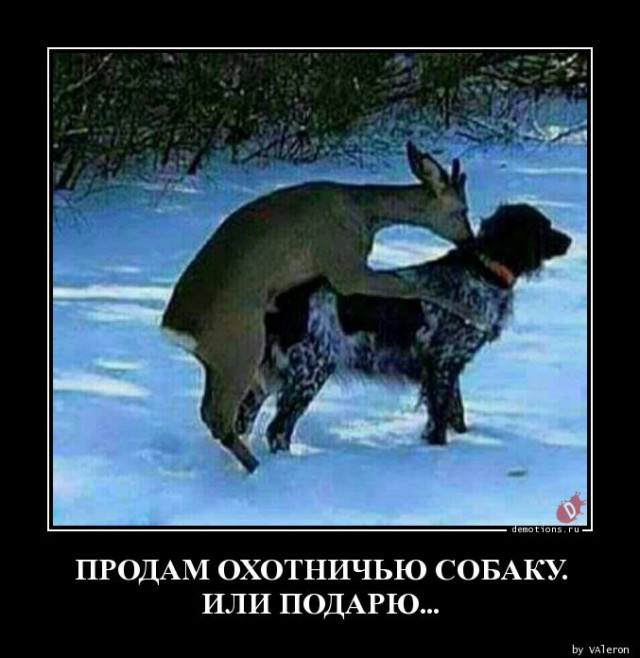 130 картинок для поднятия настроения!