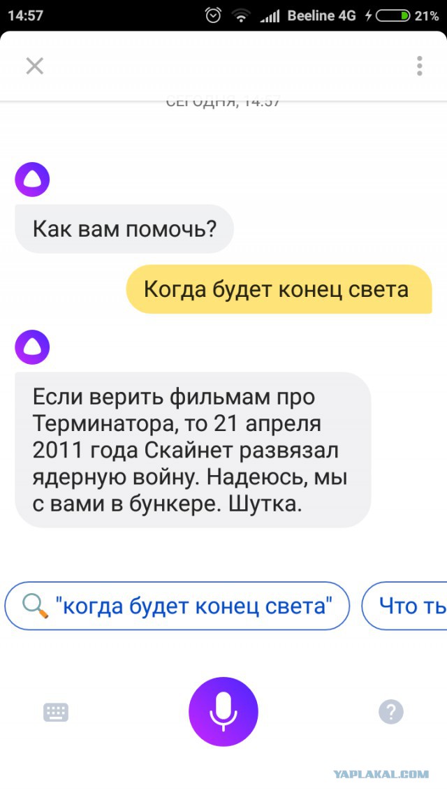 Разговор Алисы с Алисой