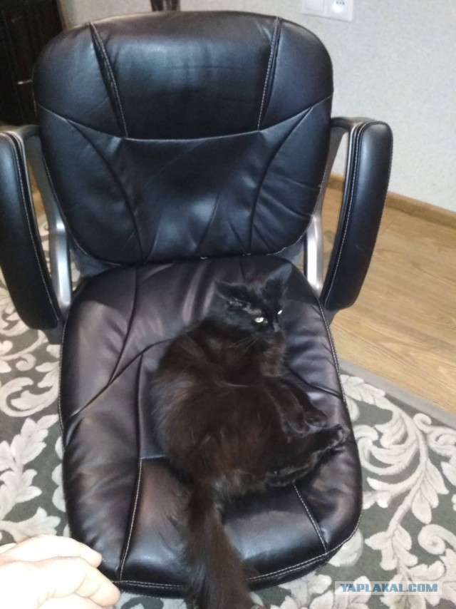 Бунт на корабле