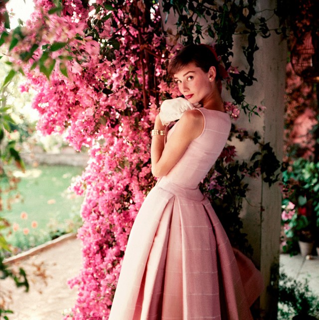 The special edition: Audrey Hepburn