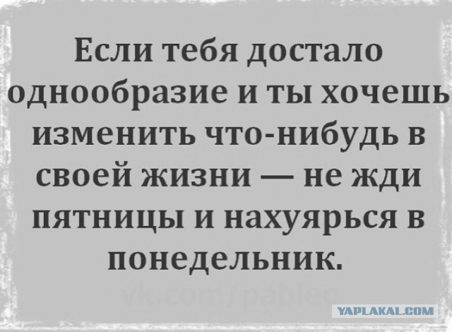 Смешные комментарии из социальных сетей 27.07.2018
