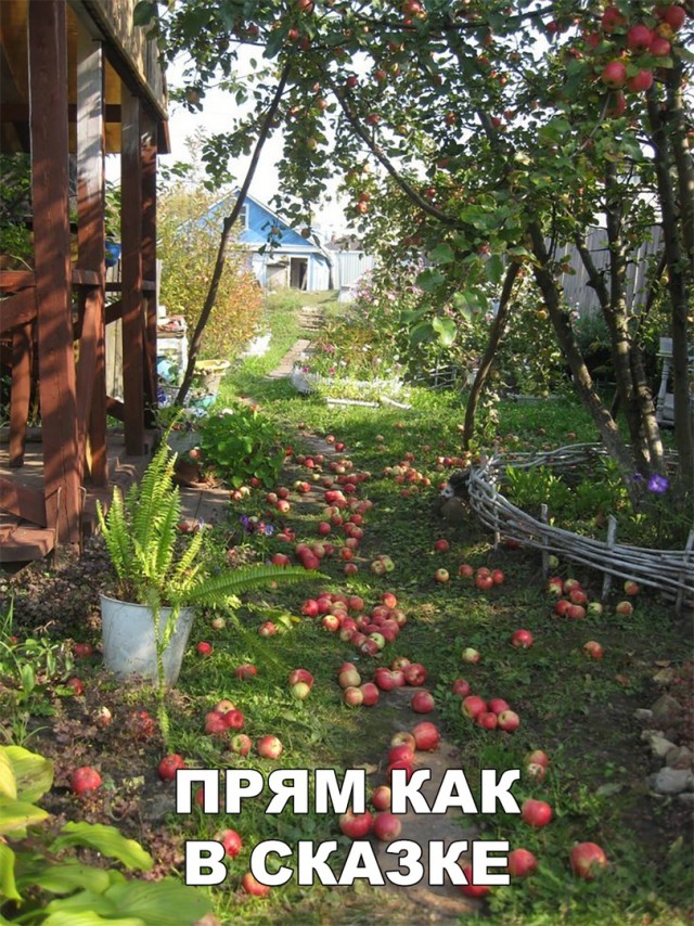 Нестандартный юмор