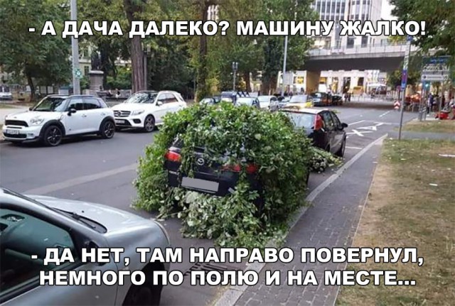 Нестандартный юмор