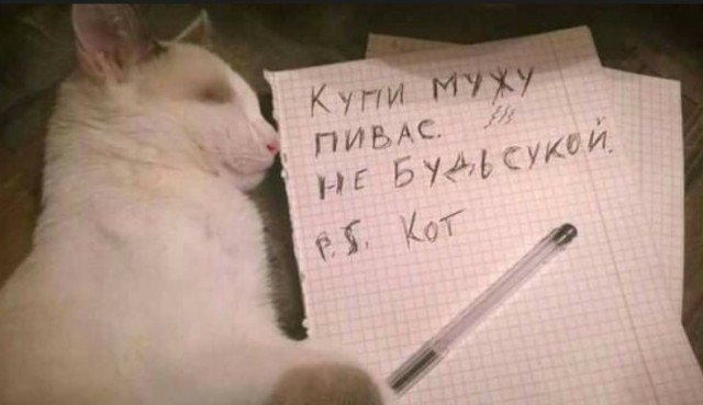 Прикольные надписи и объявления