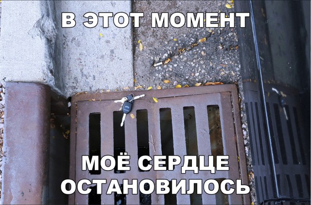Прикольные картинки абавсём