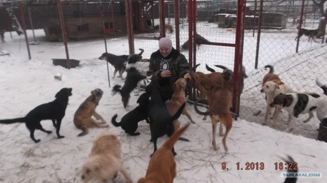 Из России в Германию