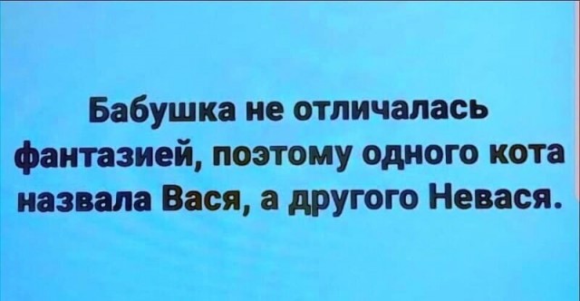 Забавные шутки, картинки и фразы из этих ваших интернетов