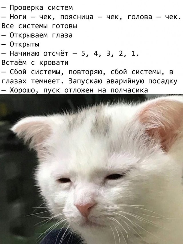 Немного картинок для настроения 116