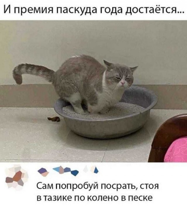 Мемы и картинки