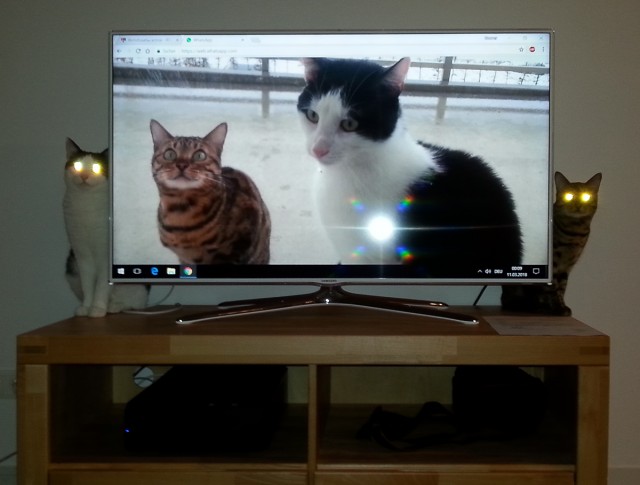 Моя красотка