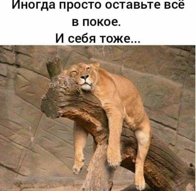 Кучка картинок из недр интернета