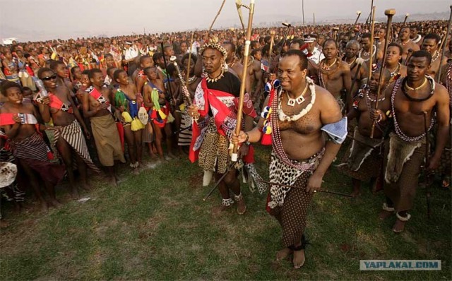 всё могут короли...