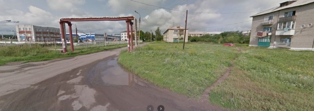 Выживальщики
