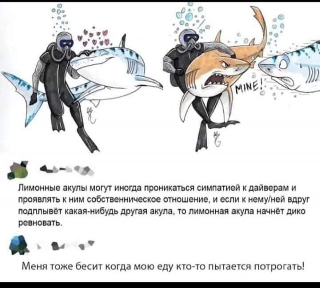 Весёлый полтишок 2.06.2021