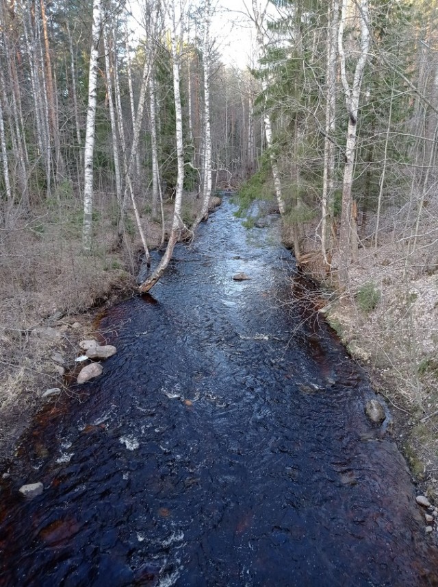 Мотопутешествие «Karelia in spring»