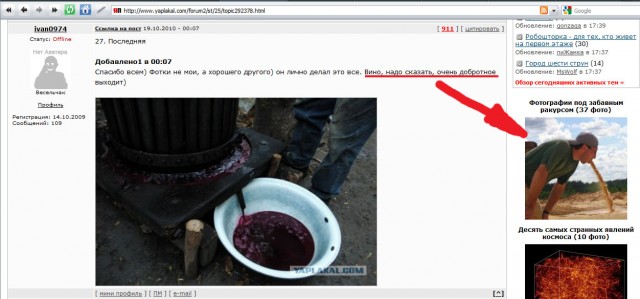 Вино своими руками