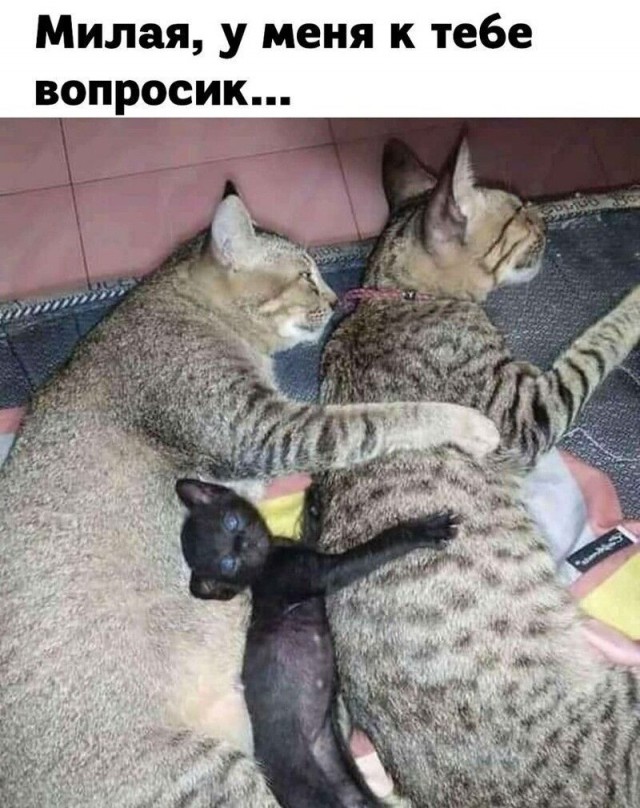 Картинки 04.02.22