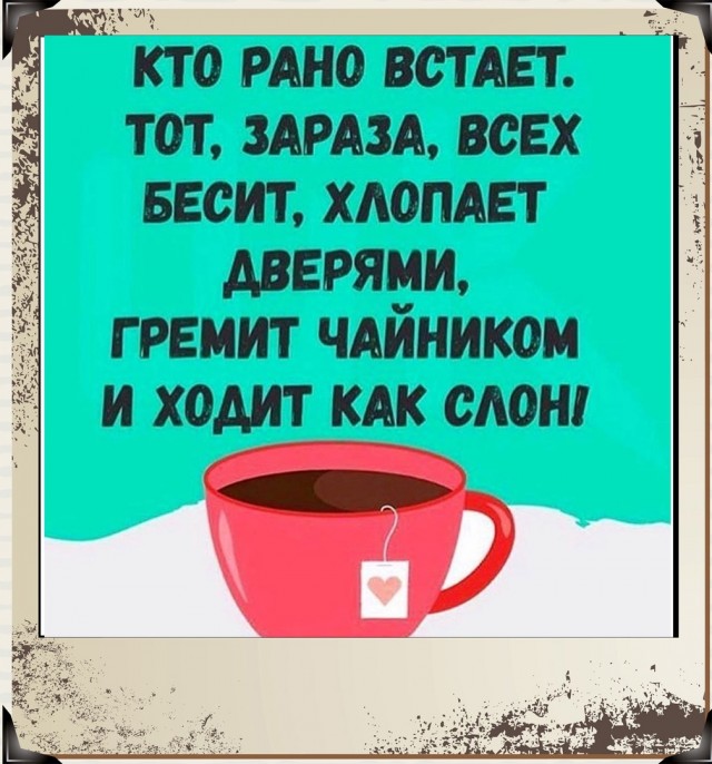 Так себе картинки 09.05.22