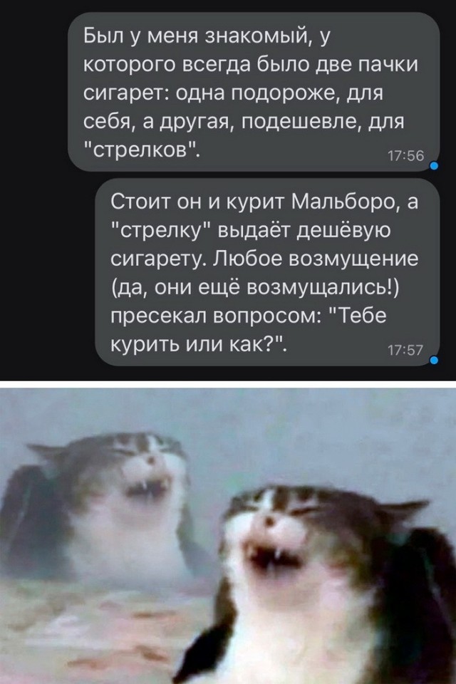Скриншоты и комментарии из социальных сетей 22.07.22