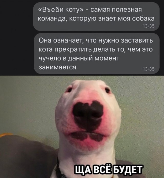 Немного картинок для настроения - 129
